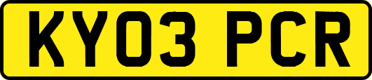 KY03PCR