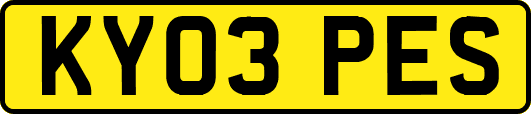 KY03PES