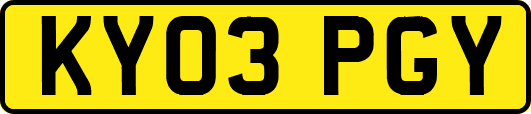 KY03PGY