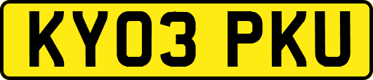 KY03PKU