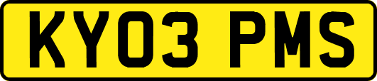 KY03PMS