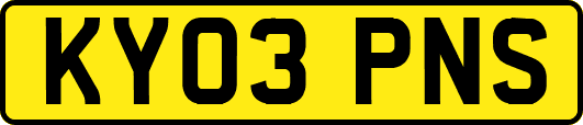 KY03PNS