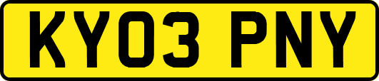 KY03PNY