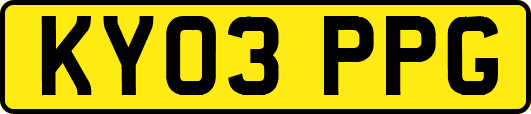 KY03PPG