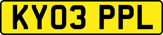 KY03PPL