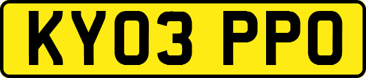 KY03PPO