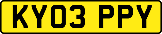 KY03PPY
