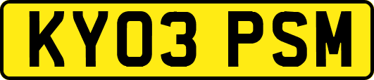 KY03PSM