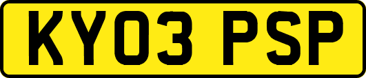 KY03PSP