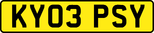 KY03PSY
