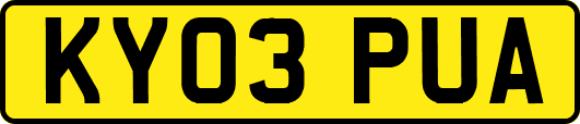 KY03PUA