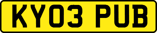 KY03PUB