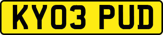 KY03PUD