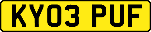KY03PUF
