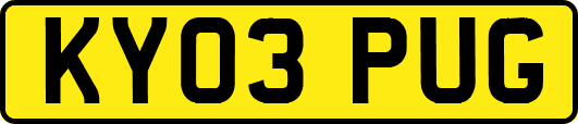 KY03PUG