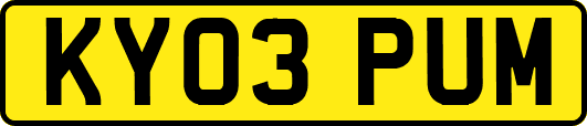KY03PUM