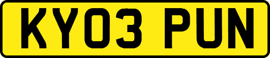 KY03PUN