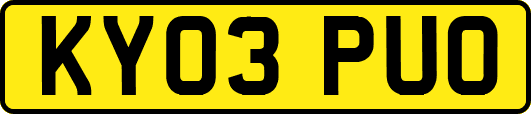 KY03PUO