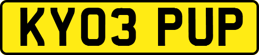 KY03PUP