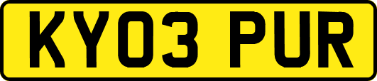 KY03PUR