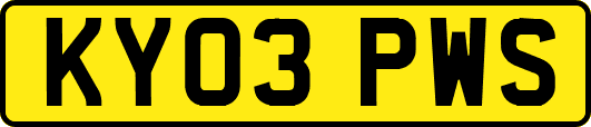 KY03PWS