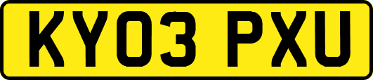 KY03PXU