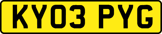 KY03PYG