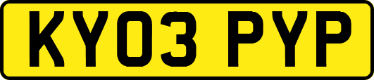 KY03PYP