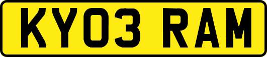 KY03RAM