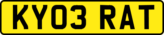 KY03RAT