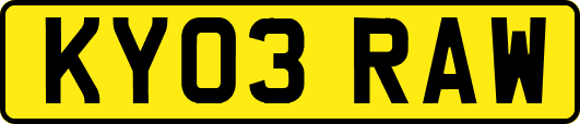 KY03RAW