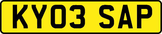 KY03SAP