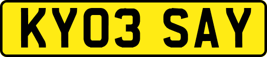 KY03SAY