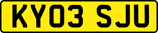 KY03SJU