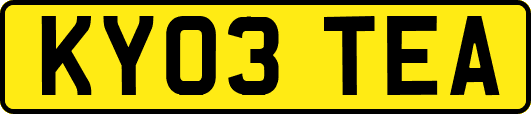 KY03TEA