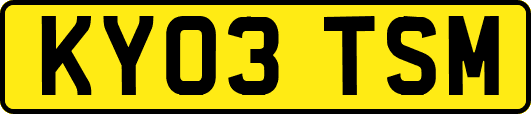 KY03TSM