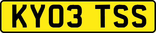 KY03TSS