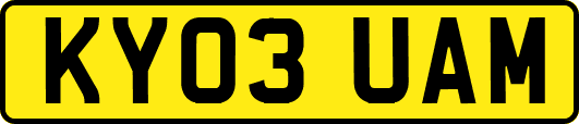 KY03UAM