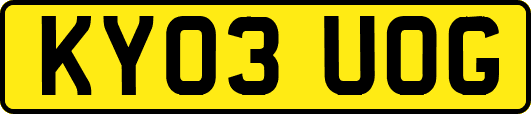 KY03UOG