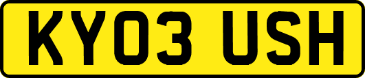 KY03USH