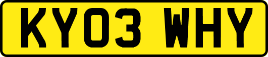 KY03WHY