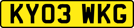 KY03WKG