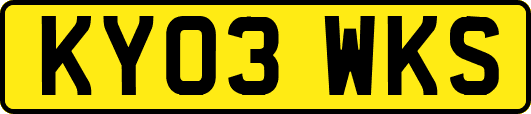 KY03WKS