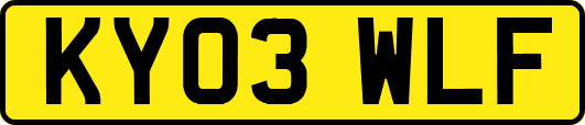 KY03WLF