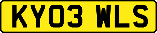KY03WLS