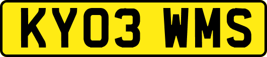 KY03WMS