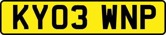 KY03WNP