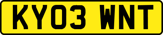 KY03WNT