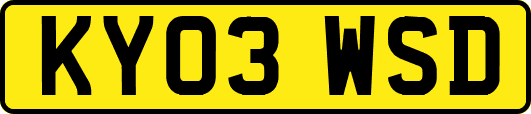 KY03WSD
