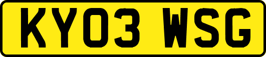 KY03WSG